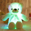 The Fabulous Led Teddy