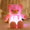 The Fabulous Led Teddy